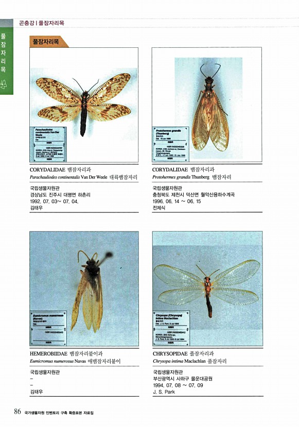 48페이지