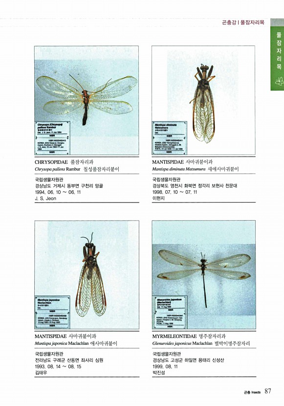 49페이지