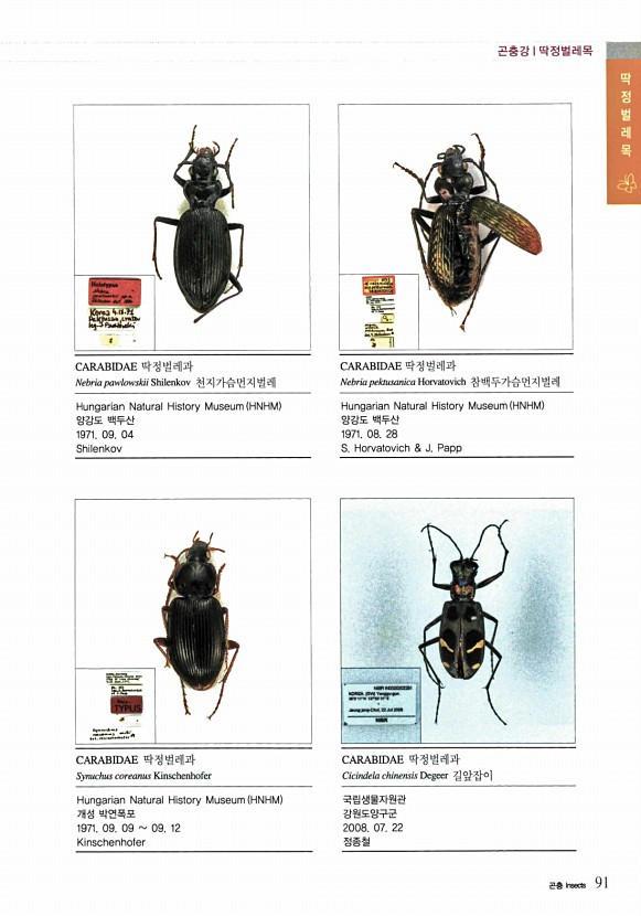 53페이지