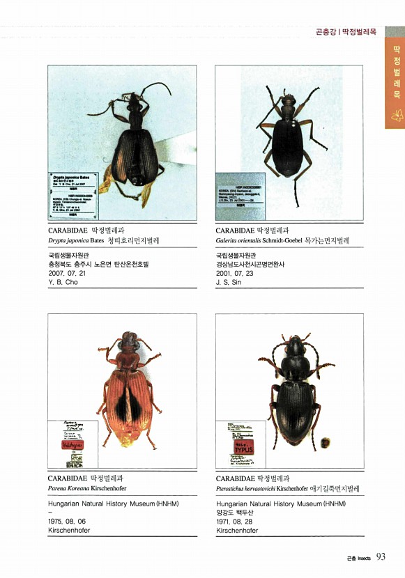 55페이지