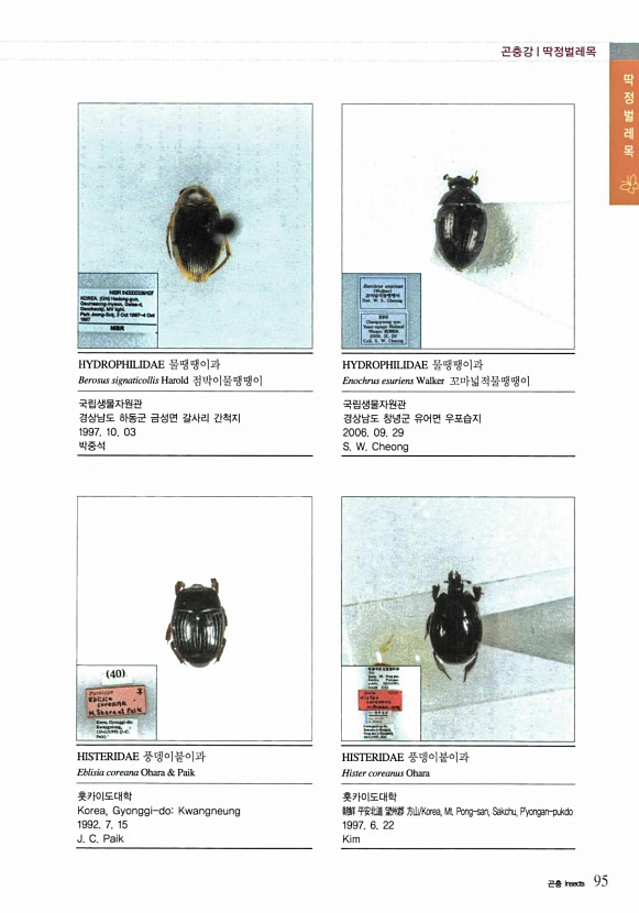 57페이지