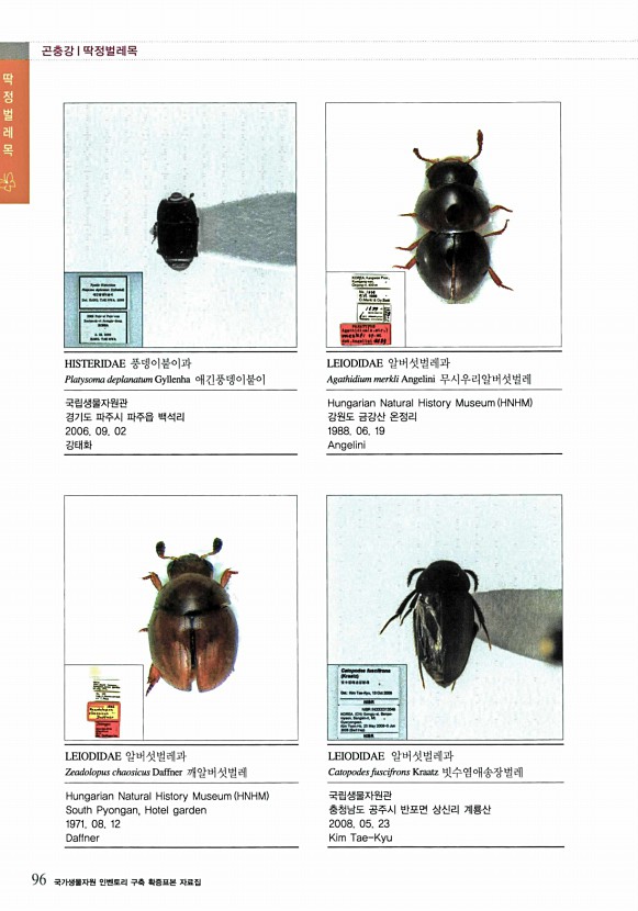 58페이지