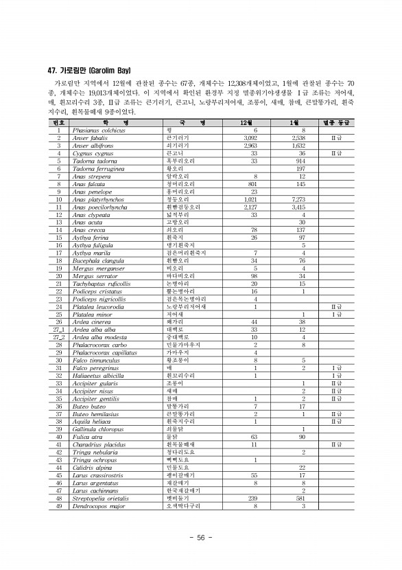 62페이지