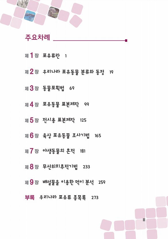 페이지
