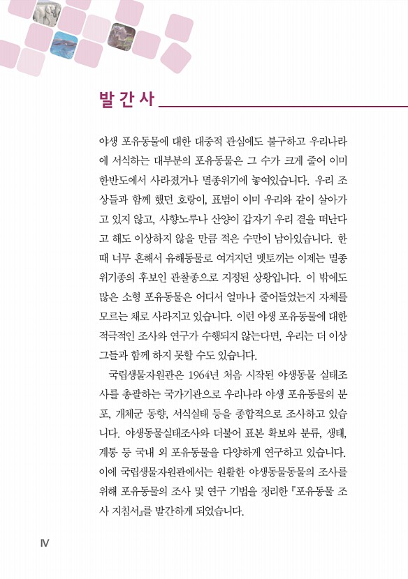 페이지