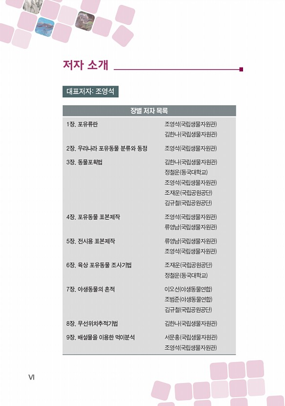 페이지