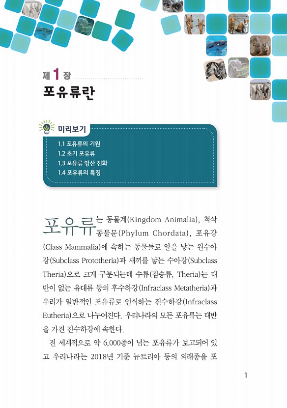 7페이지