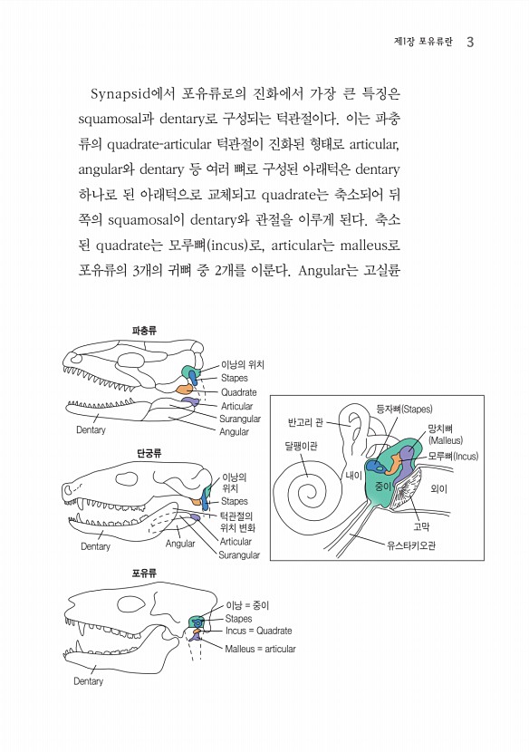 9페이지