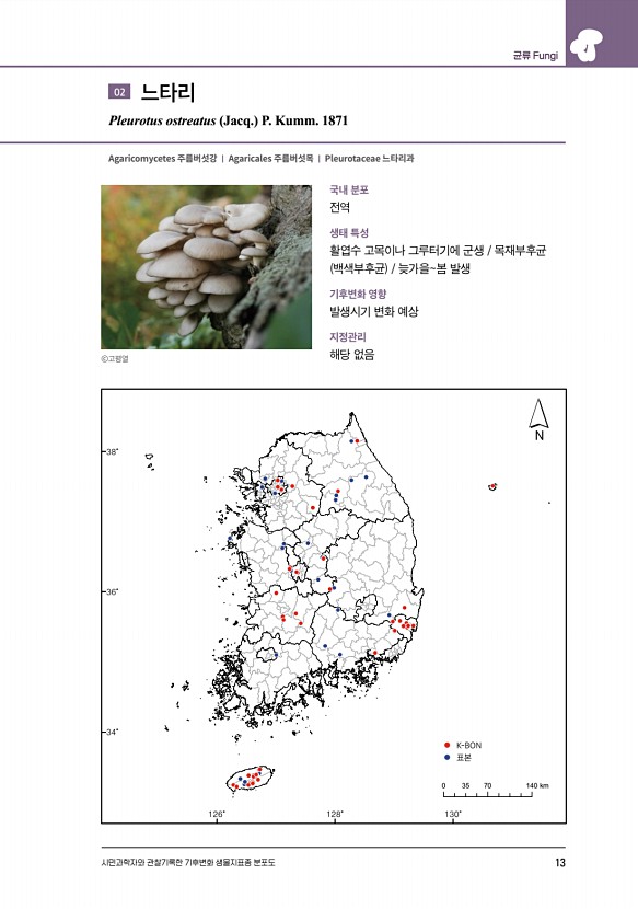 13페이지