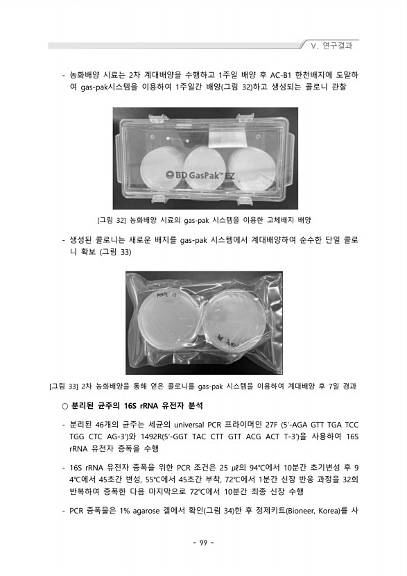 99페이지
