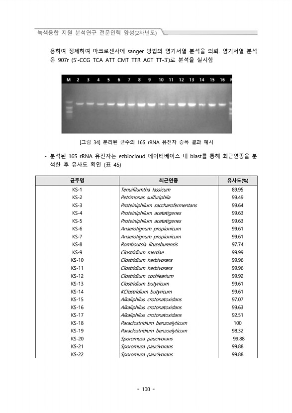 100페이지