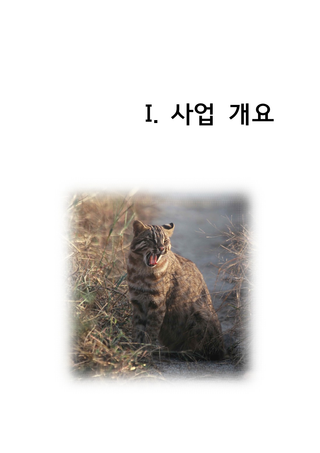 페이지