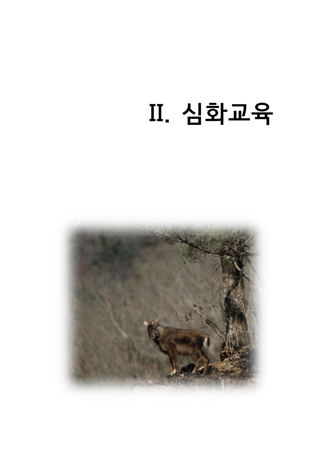페이지