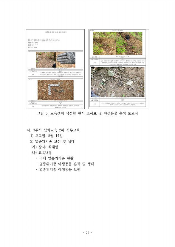 20페이지