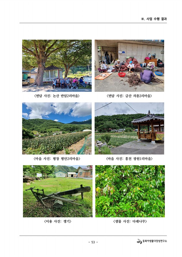 53페이지