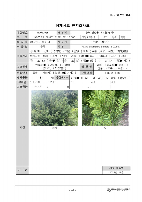 75페이지