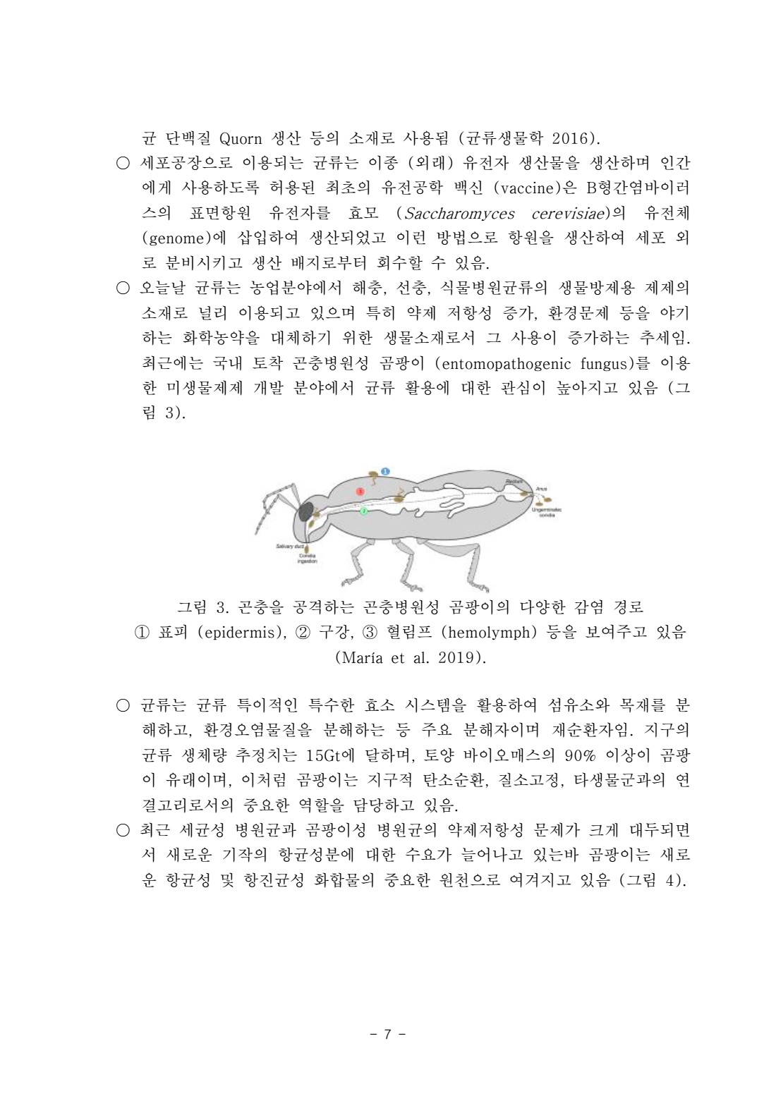 페이지
