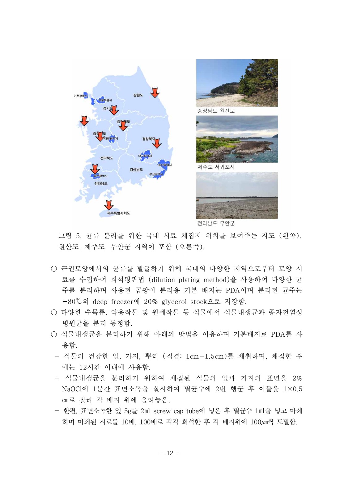 페이지