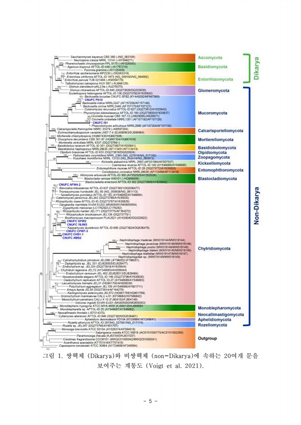 5페이지