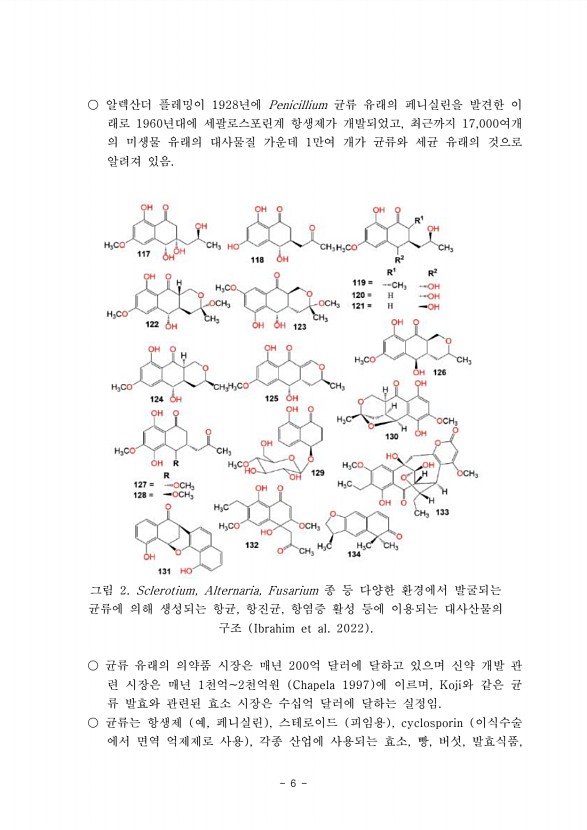 6페이지