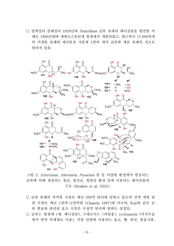 6페이지