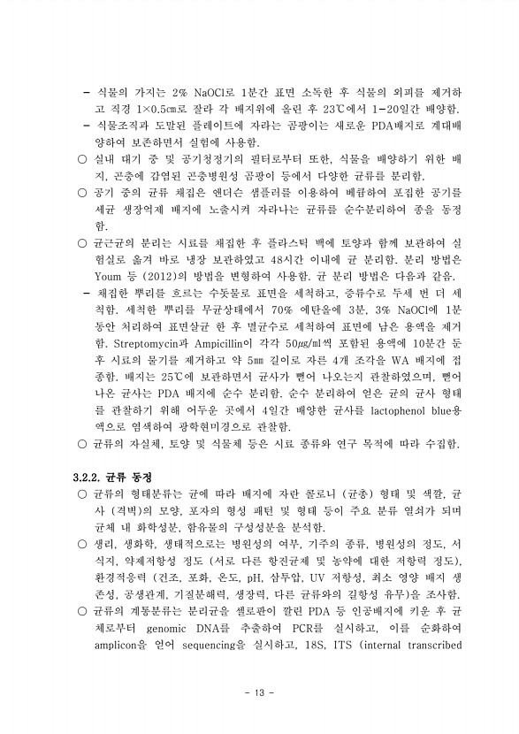 13페이지