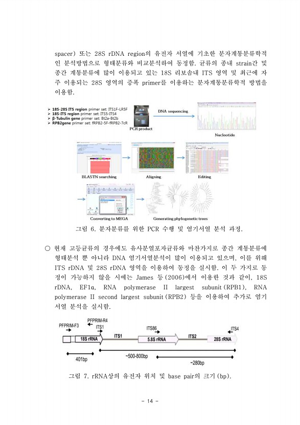 14페이지