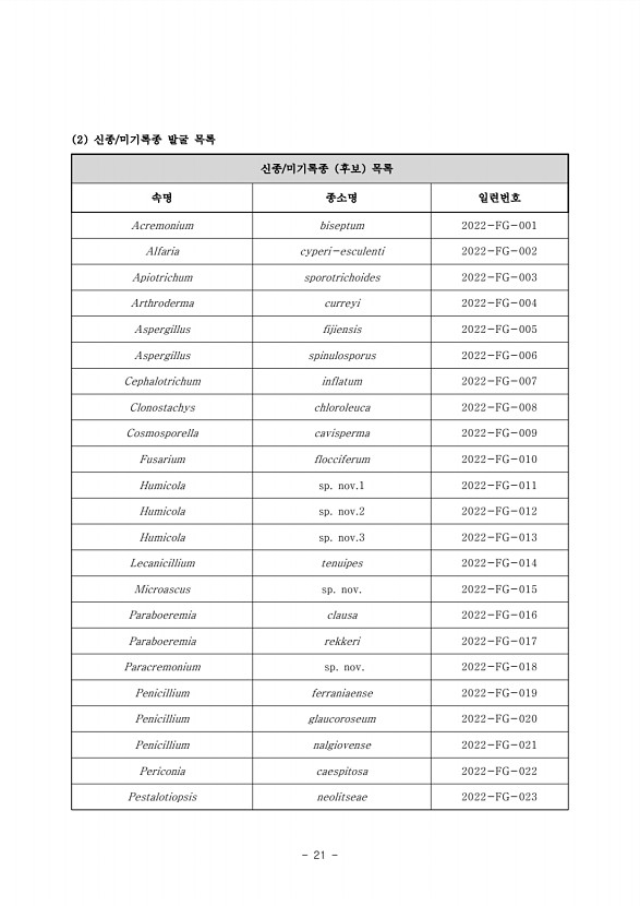 21페이지