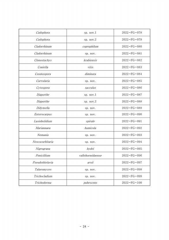 24페이지