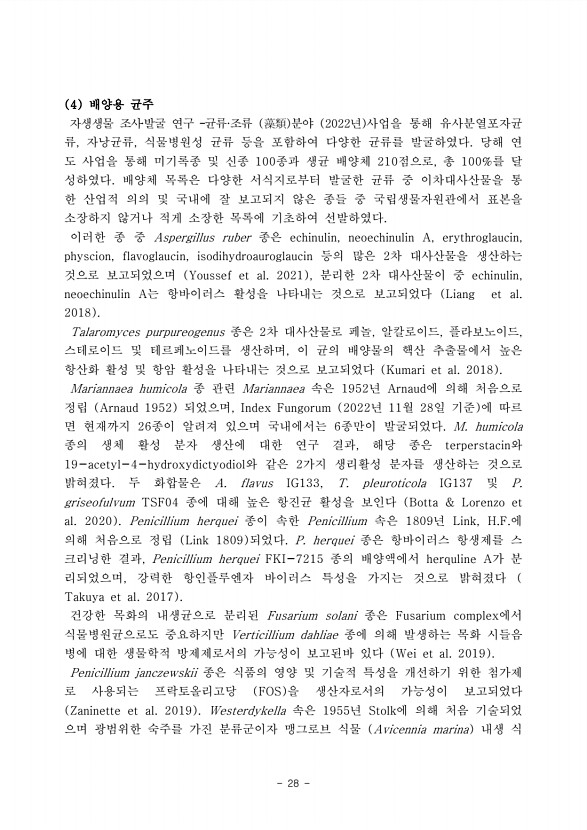 28페이지