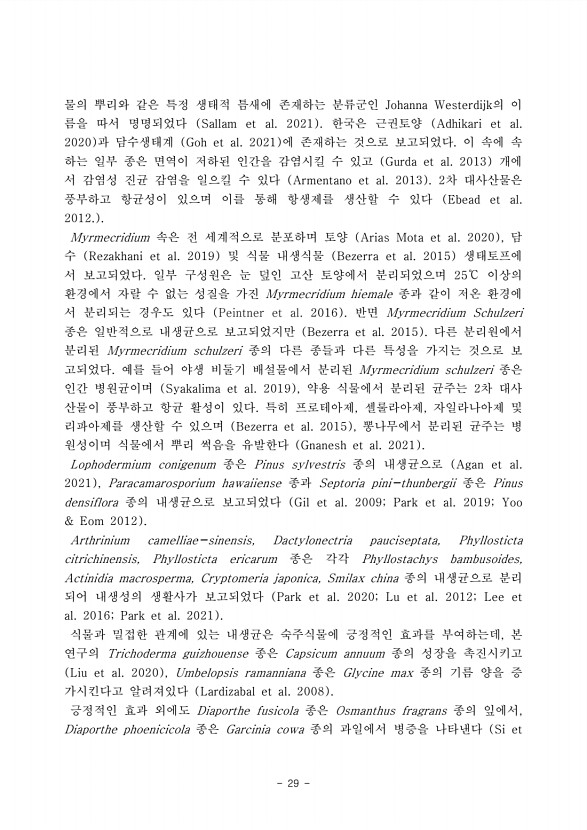 29페이지