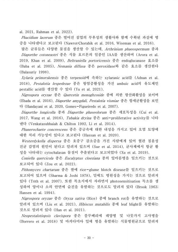 30페이지