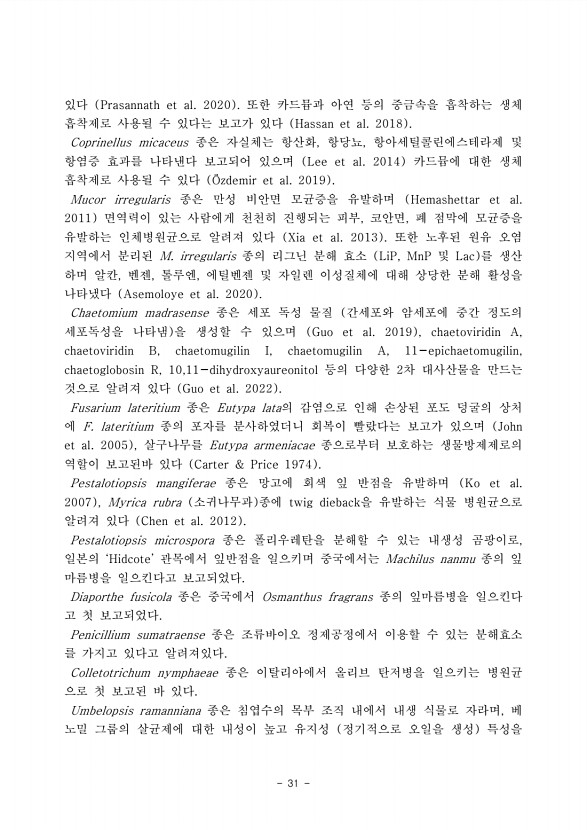 31페이지