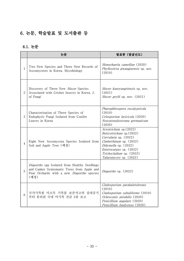 33페이지