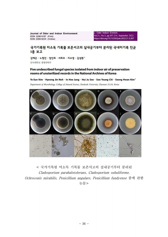 36페이지