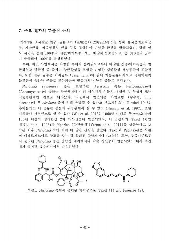 42페이지