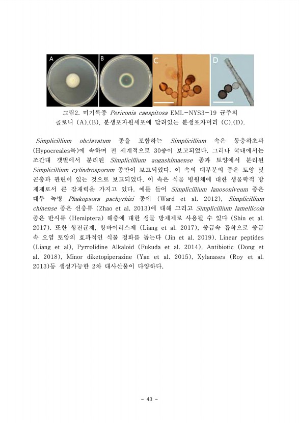 43페이지
