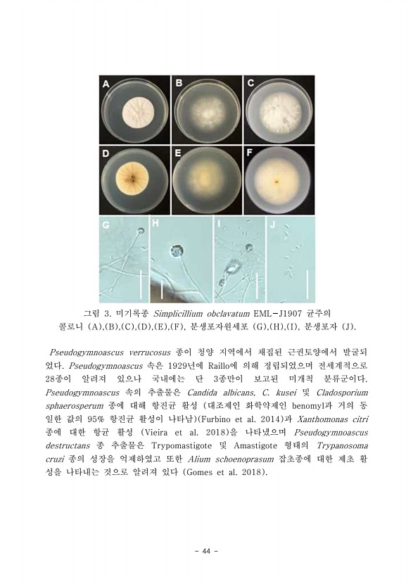44페이지