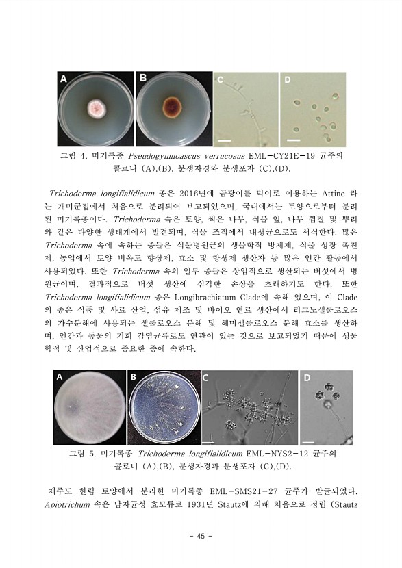 45페이지