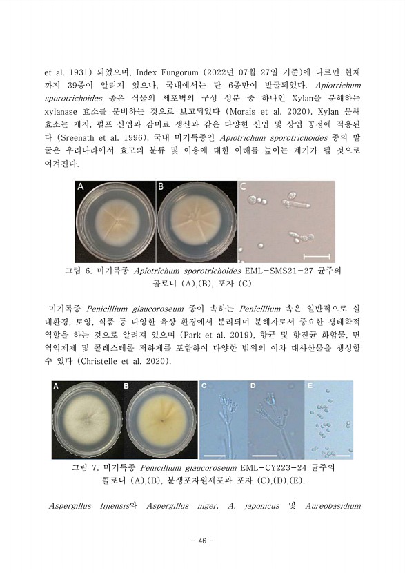 46페이지