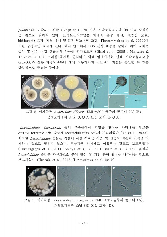 47페이지