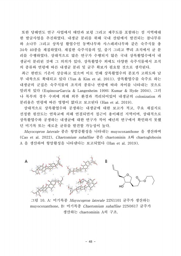 48페이지