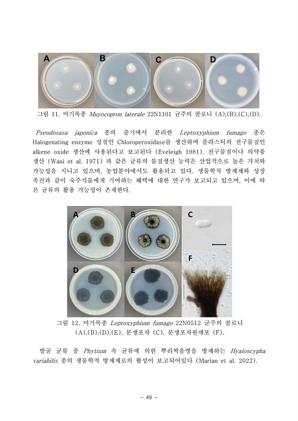 49페이지