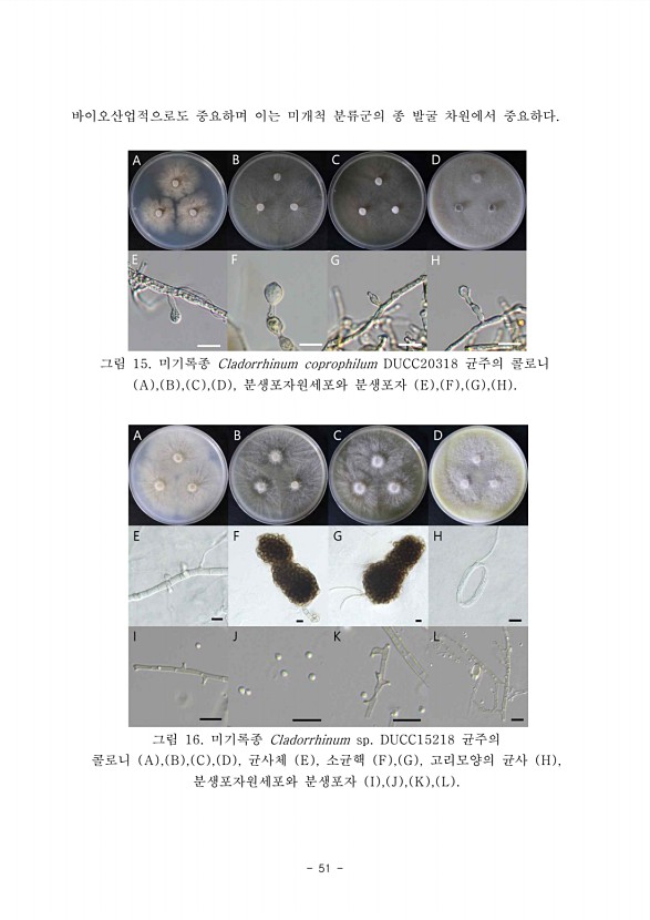 51페이지