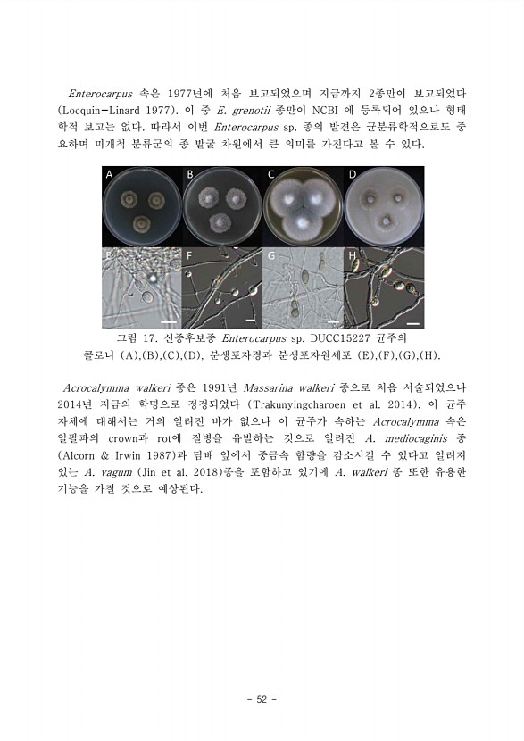 52페이지