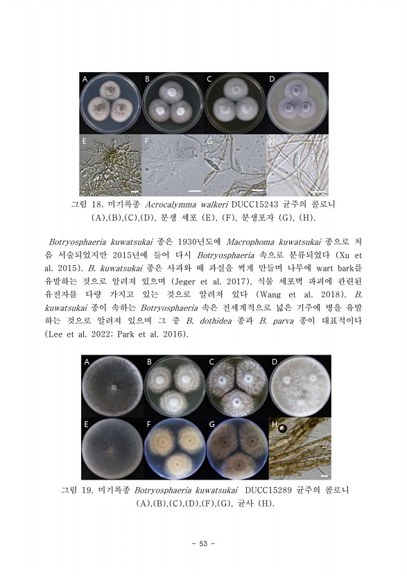53페이지