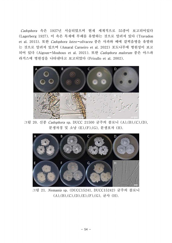 54페이지