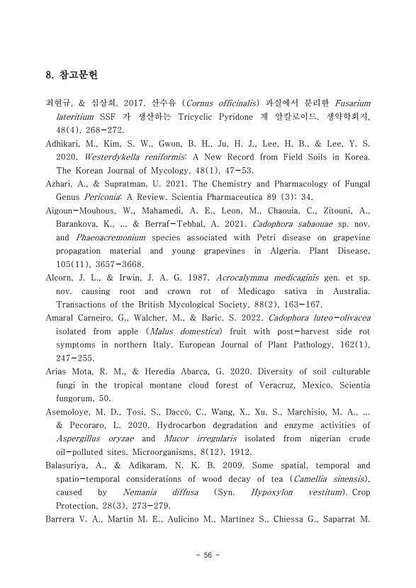 56페이지