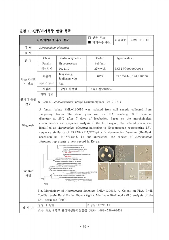 70페이지