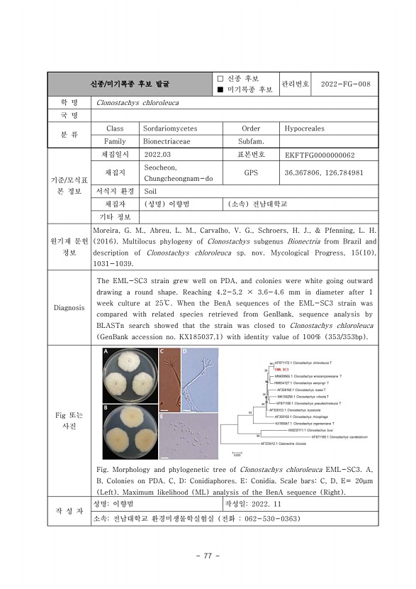 77페이지